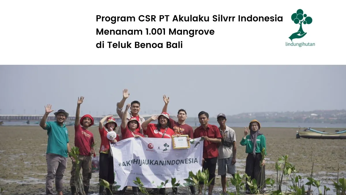 Program penanaman mangrove PT Akulaku Silvrr Indonesia