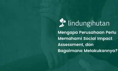 social impact assessment