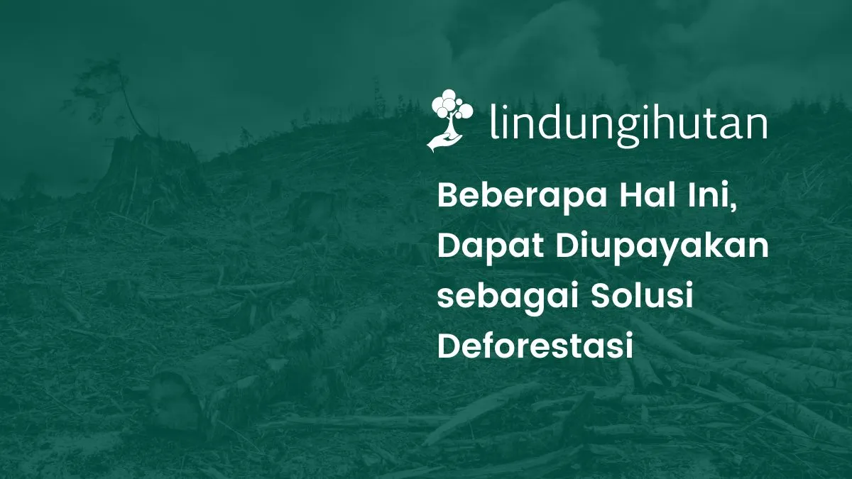 solusi deforestasi adalah