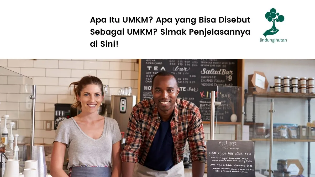 UMKM Adalah