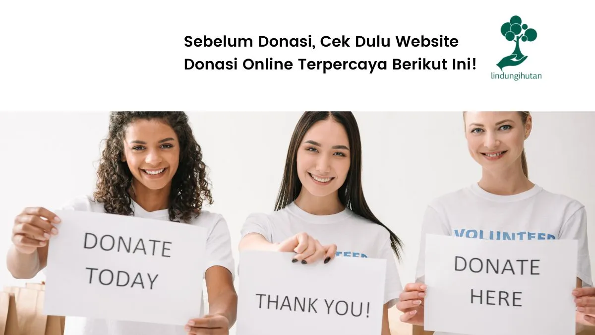 Website Donasi online