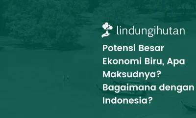 Apa itu ekonomi biru