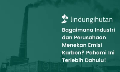 apa itu scope 1 2 3