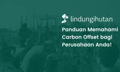 Carbon offset
