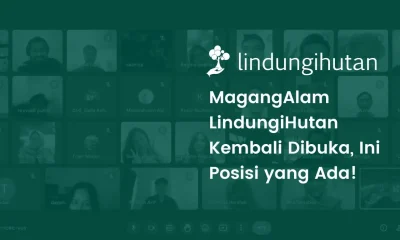 Magang online LindungiHutan