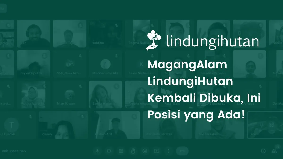 Magang online LindungiHutan