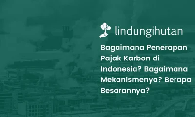 Pajak karbon di Indonesia