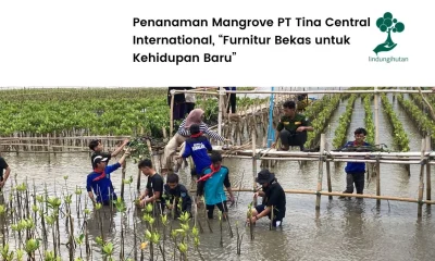 Penanaman mangrove PT Tina Central International