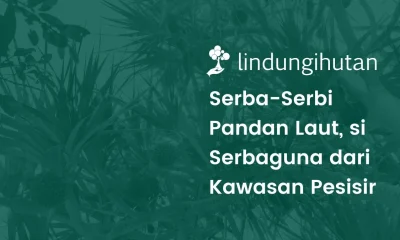 tanaman pandan laut