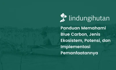 blue carbon