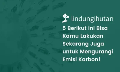 Cara mengurangi emisi karbon