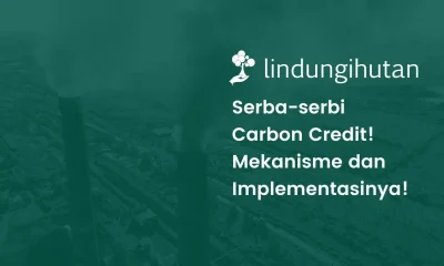 Carbon credit