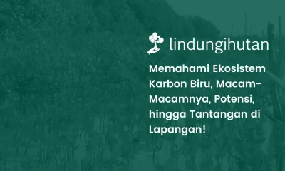 Ekosistem karbon biru