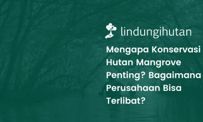 Konservasi hutan mangrove adalah