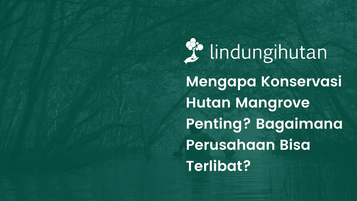 Konservasi hutan mangrove adalah