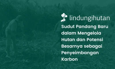 Pengelolaan hutan berkelanjutan