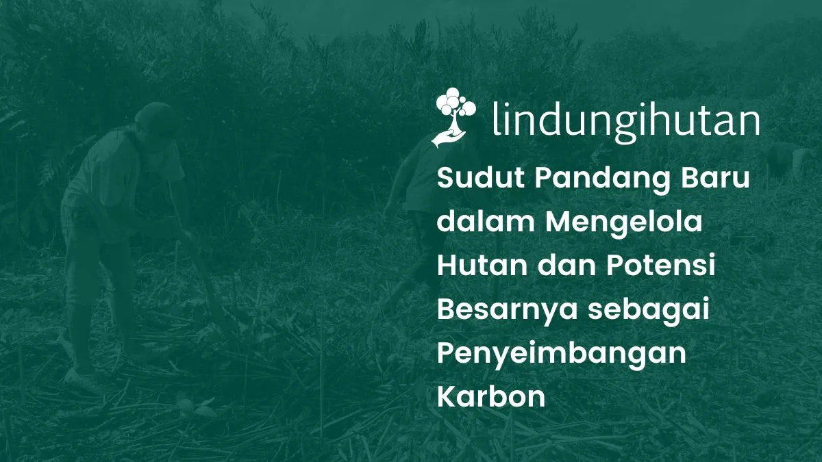 Pengelolaan hutan berkelanjutan