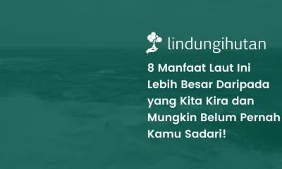 manfaat laut bagi manusia