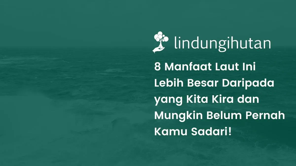 manfaat laut bagi manusia