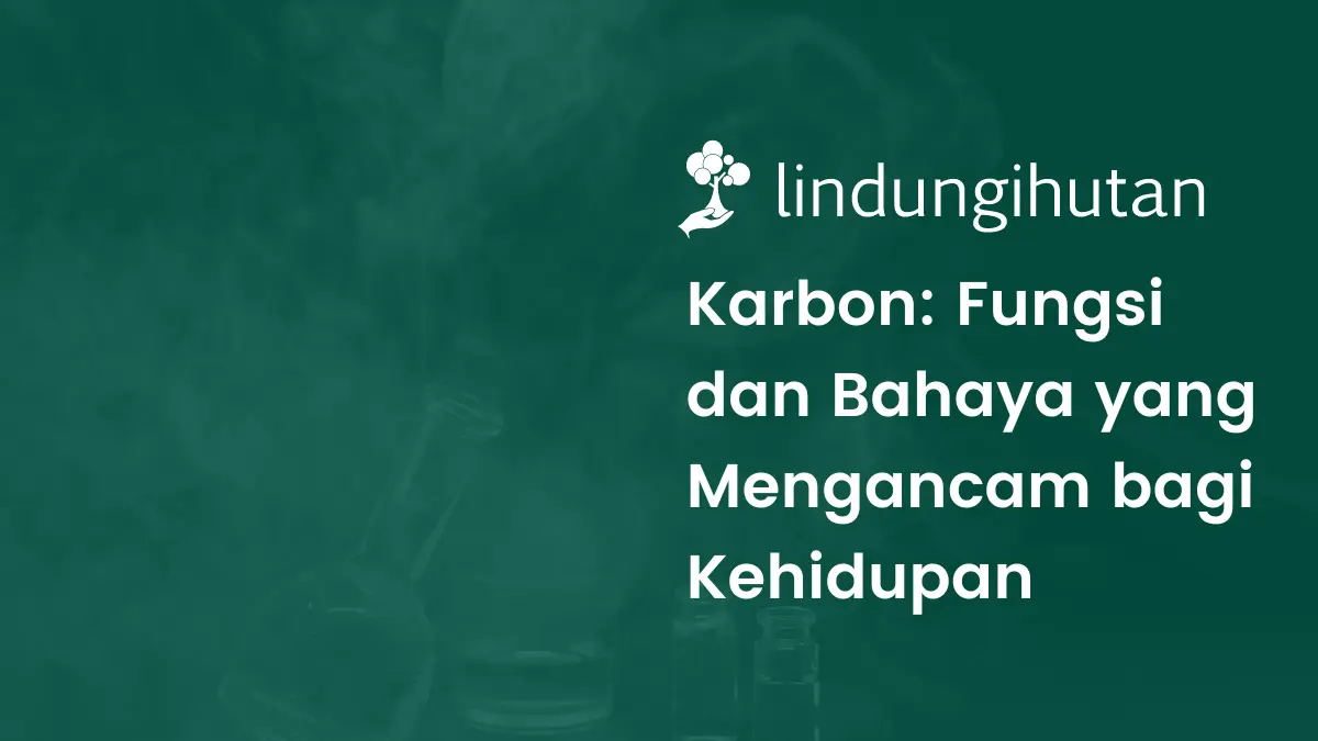 Apa itu karbon?