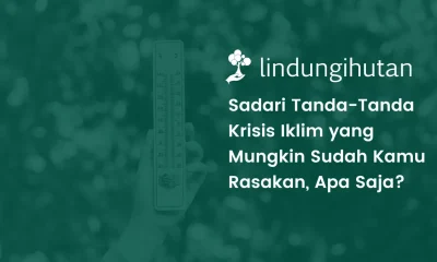 Krisis iklim