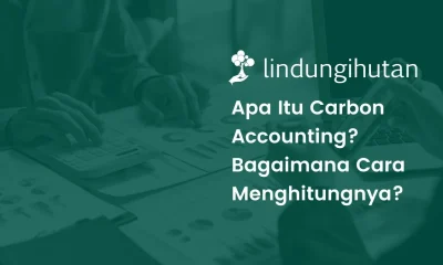 carbon accounting adalah