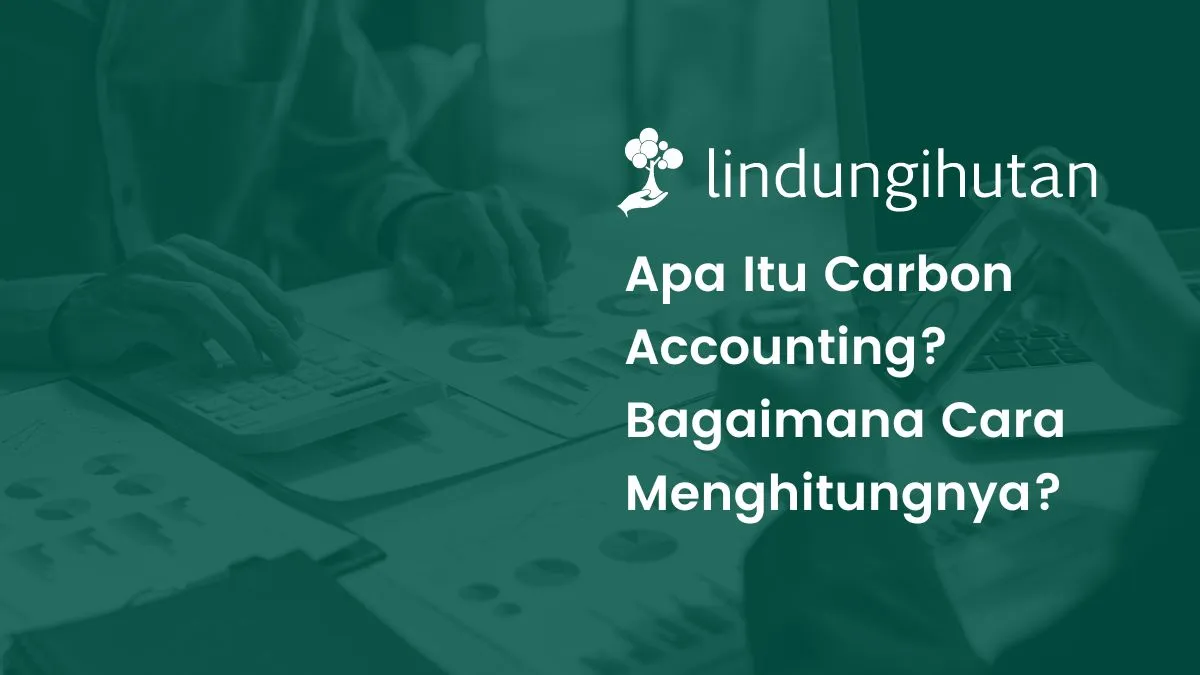 carbon accounting adalah