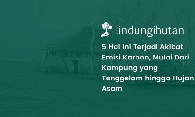 Dampak-negatif-emisi-karbon