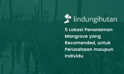 Lokasi menanam mangrove