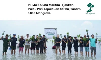 Penanaman mangrove PT Mult Guna Maritim Pulau Pari Kepulauan Seribu