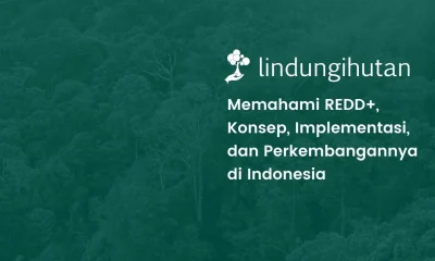 REDD+ adalah