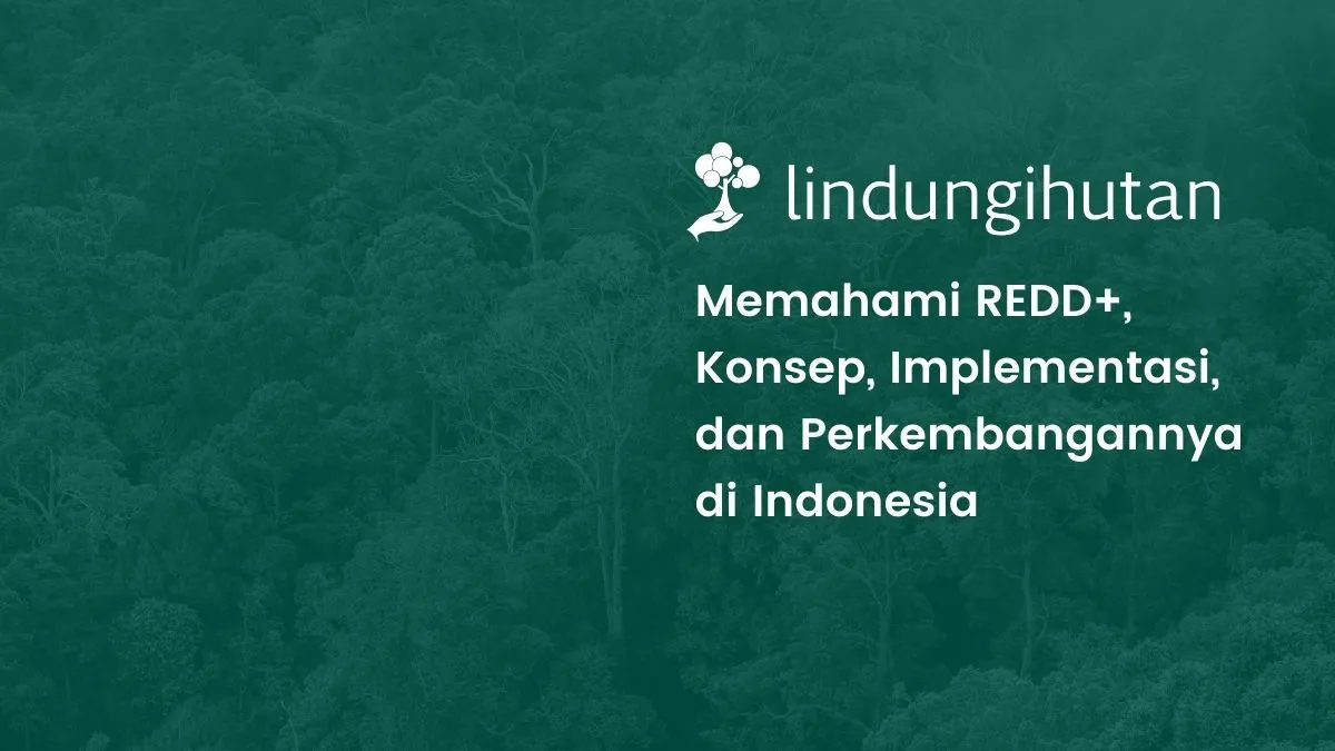 REDD+ adalah