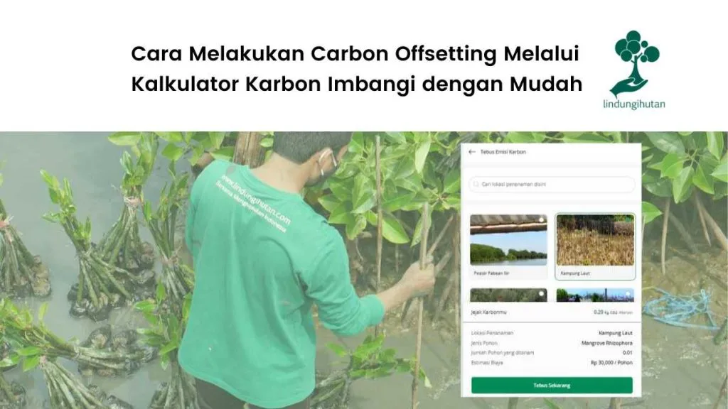 Tutorial Carbon Offsetting Menggunakan Kalkulator Jejak Karbon Imbangi