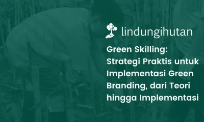 Webinar green branding LindungiHutan