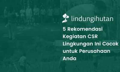 rekomendasi kegiatan CSR
