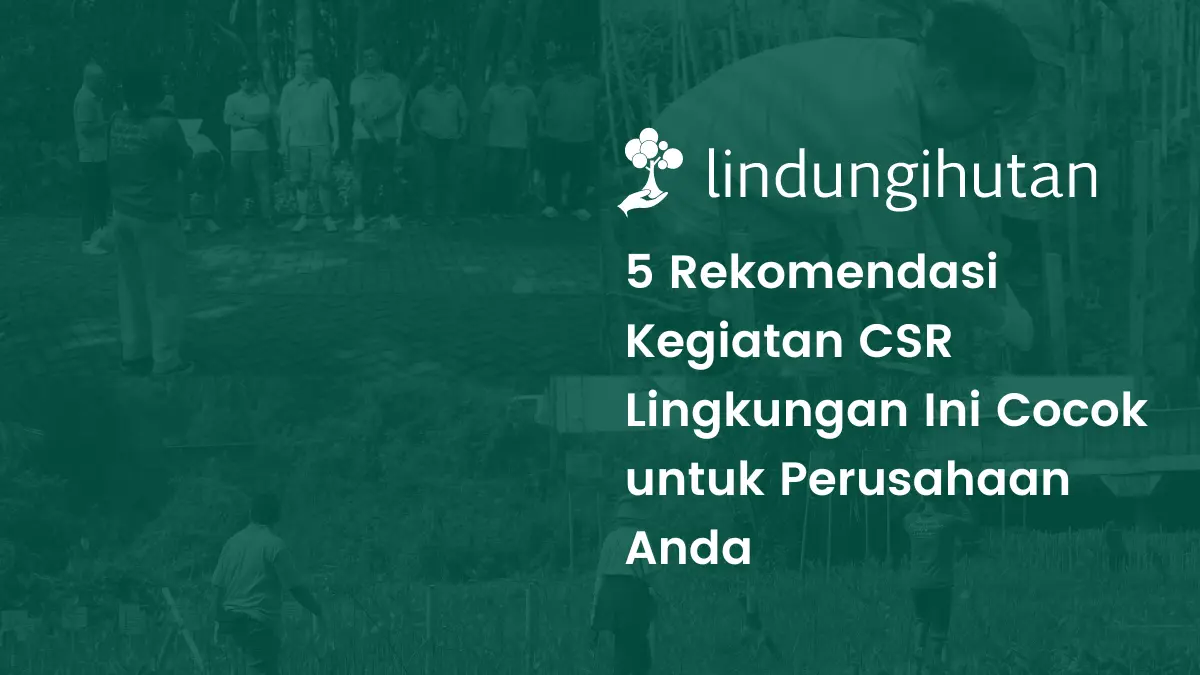 rekomendasi kegiatan CSR