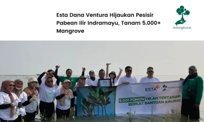 Aksi Penghijauan Esta Dana Ventura