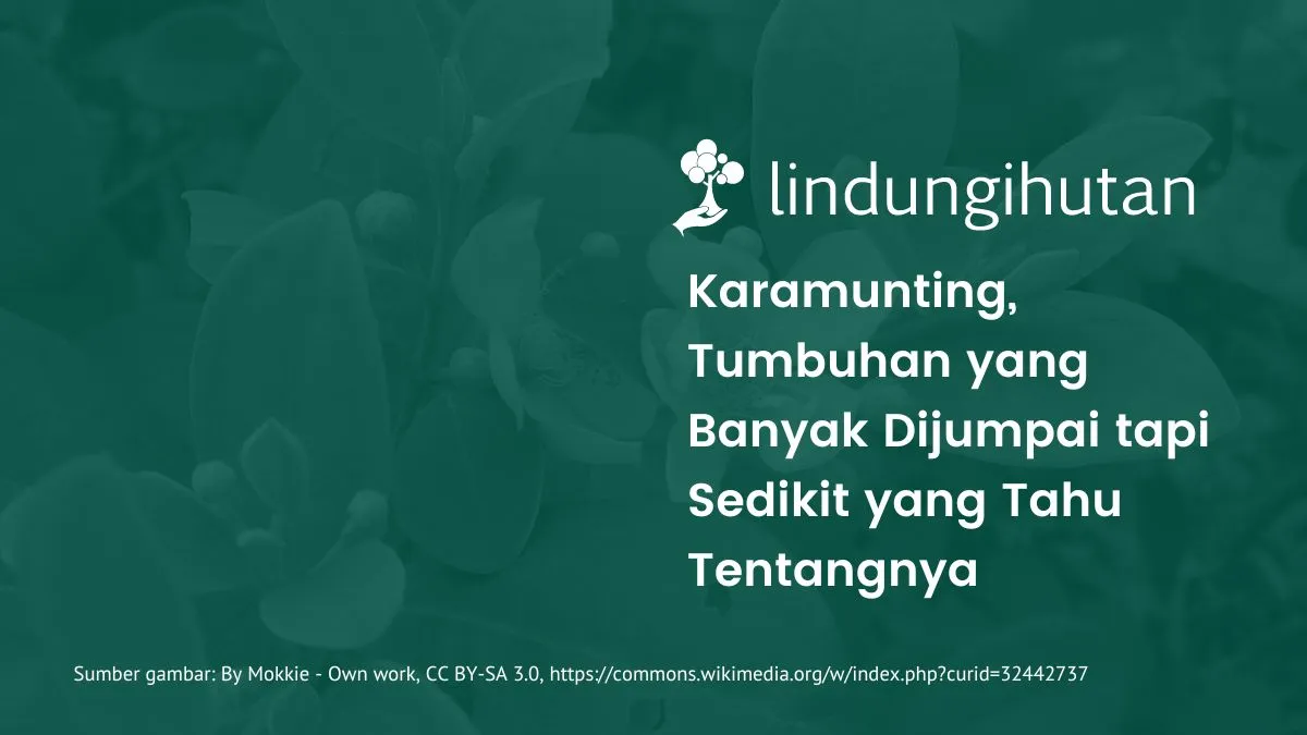 Karamunting adalah