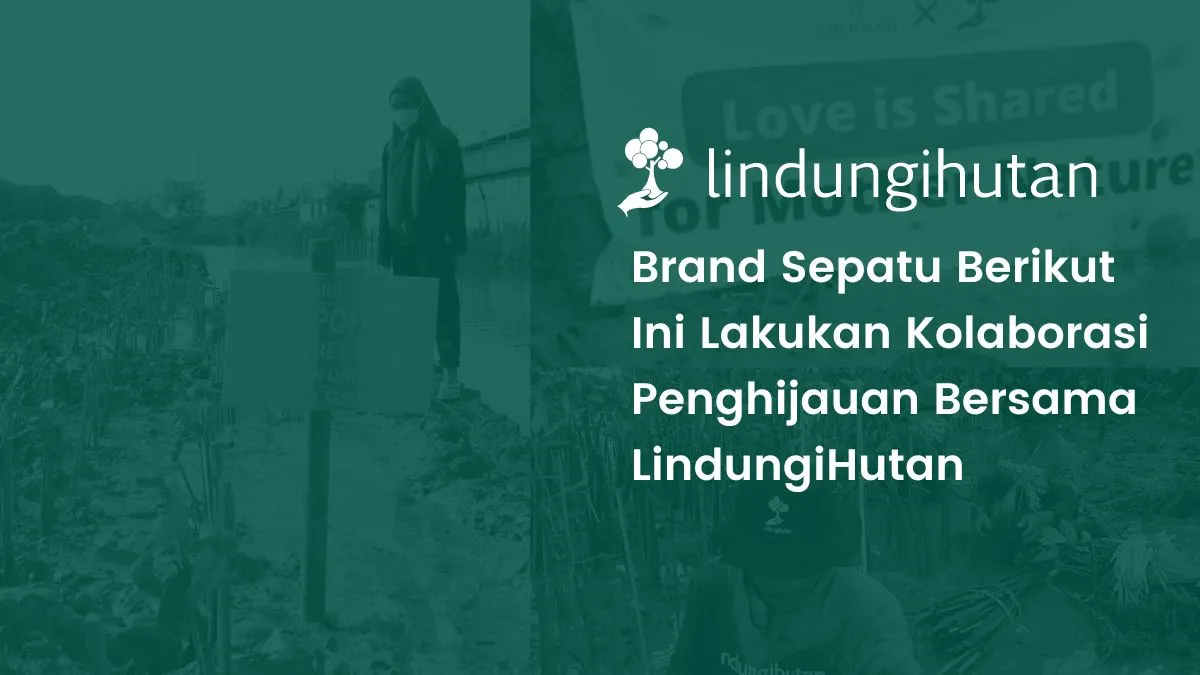 Kolaborasi penghijauan brand sepatu