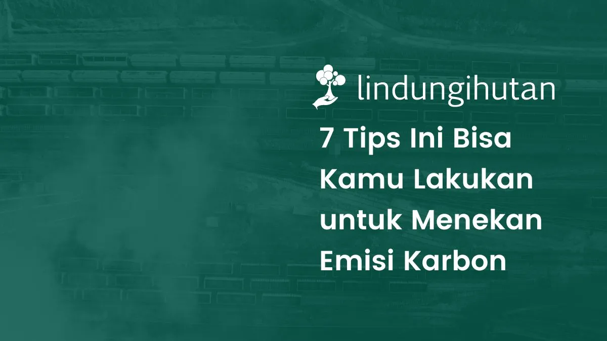 Tips mengurangi jejak karbon