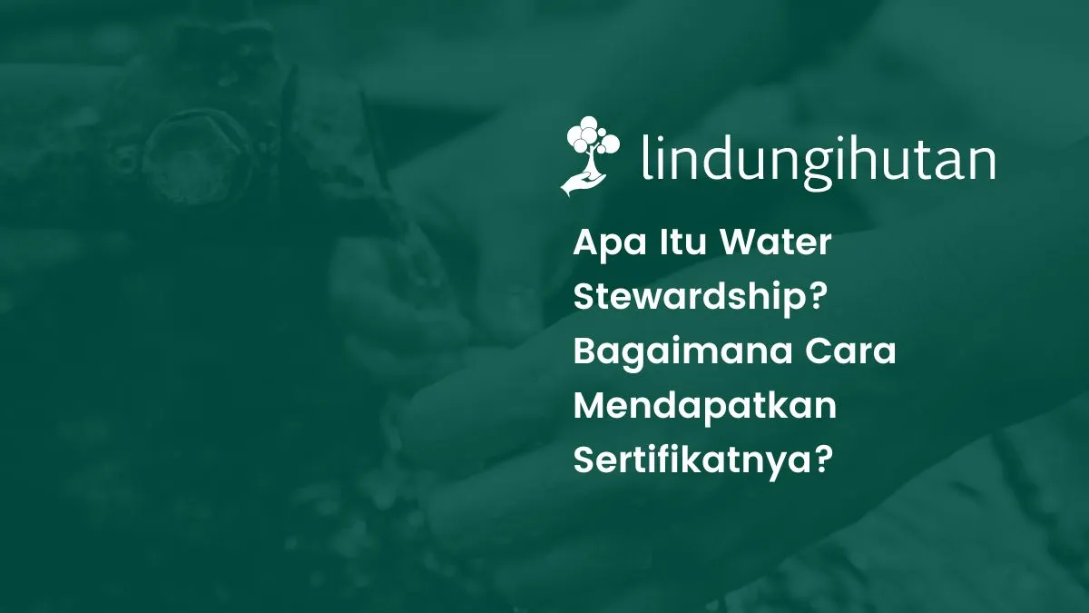 water stewardship