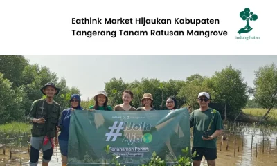 Eathink Market Lakukan Penanaman Mangrove