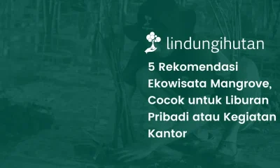 Ekowisata mangrove