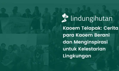 Kaoem Telapak