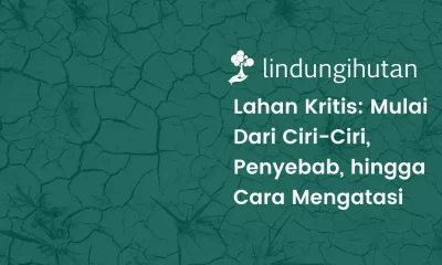 Lahan kritis