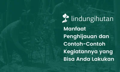 Manfaat penghijauan