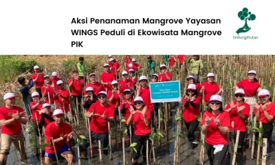Yayasan Wings Peduli Ekowisata Mangrove PIK