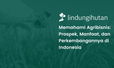 Agribisnis adalah