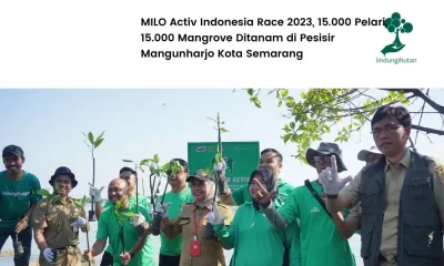 Nestle Milo penanaman mangrove 15.000 pohon