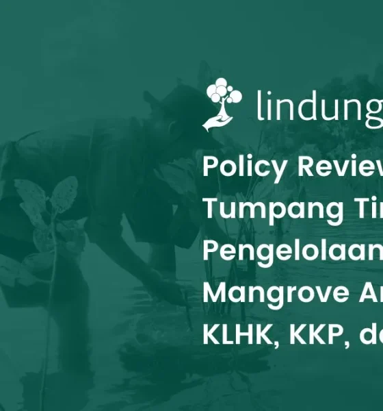 Policy review pengelolaan ekosistem mangrove